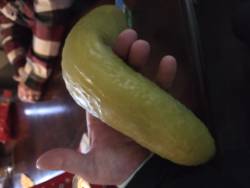 44172